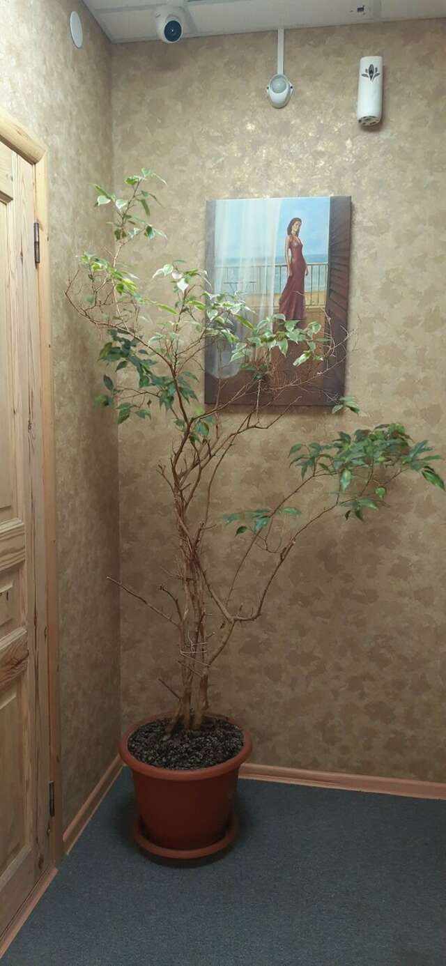 Гостиница Victory Северодвинск-88